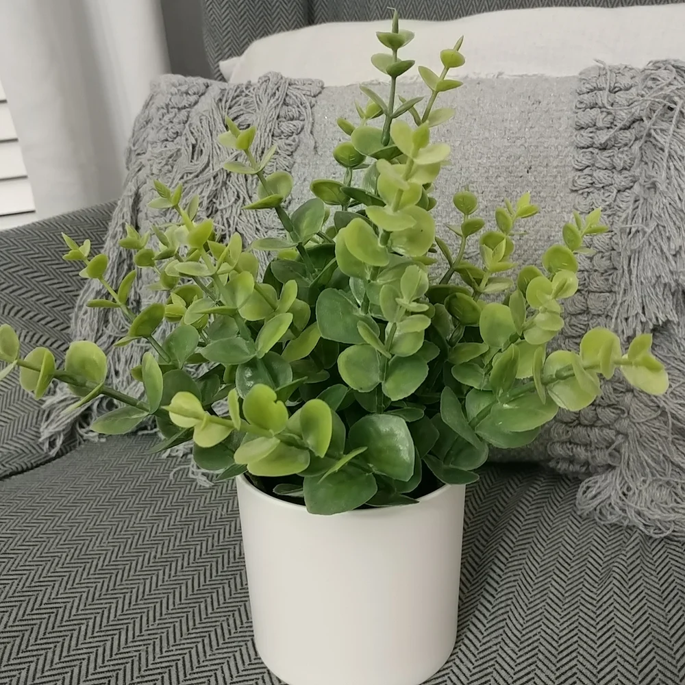 Boxwood Faux Plant Artificial Green Boxwood Arrangement White Planter- Threshold